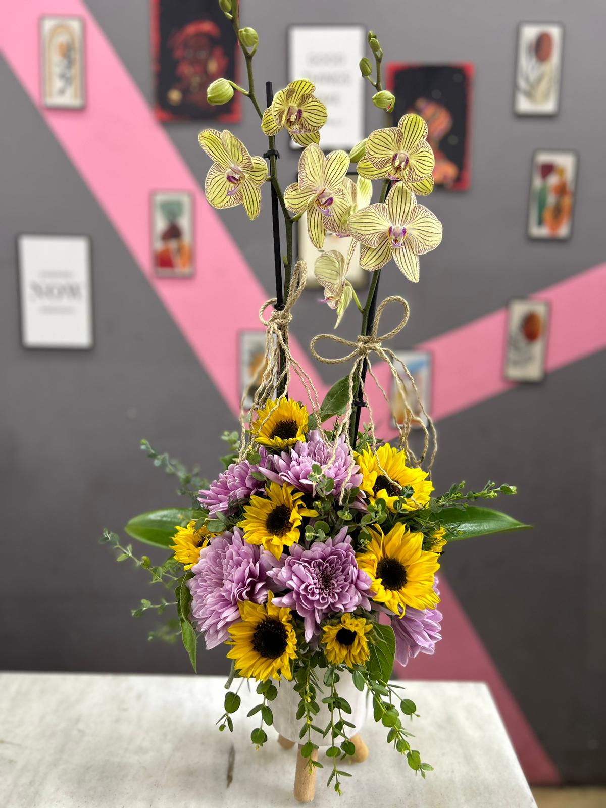 premium-orkide-aranjmani-snt42